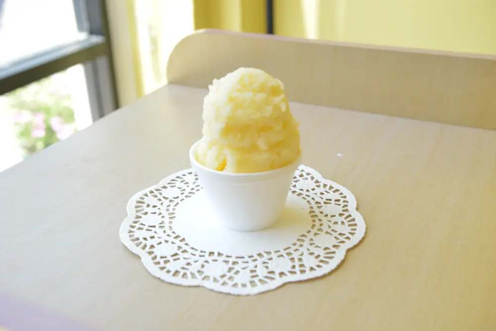 Vanilla Ice Cream